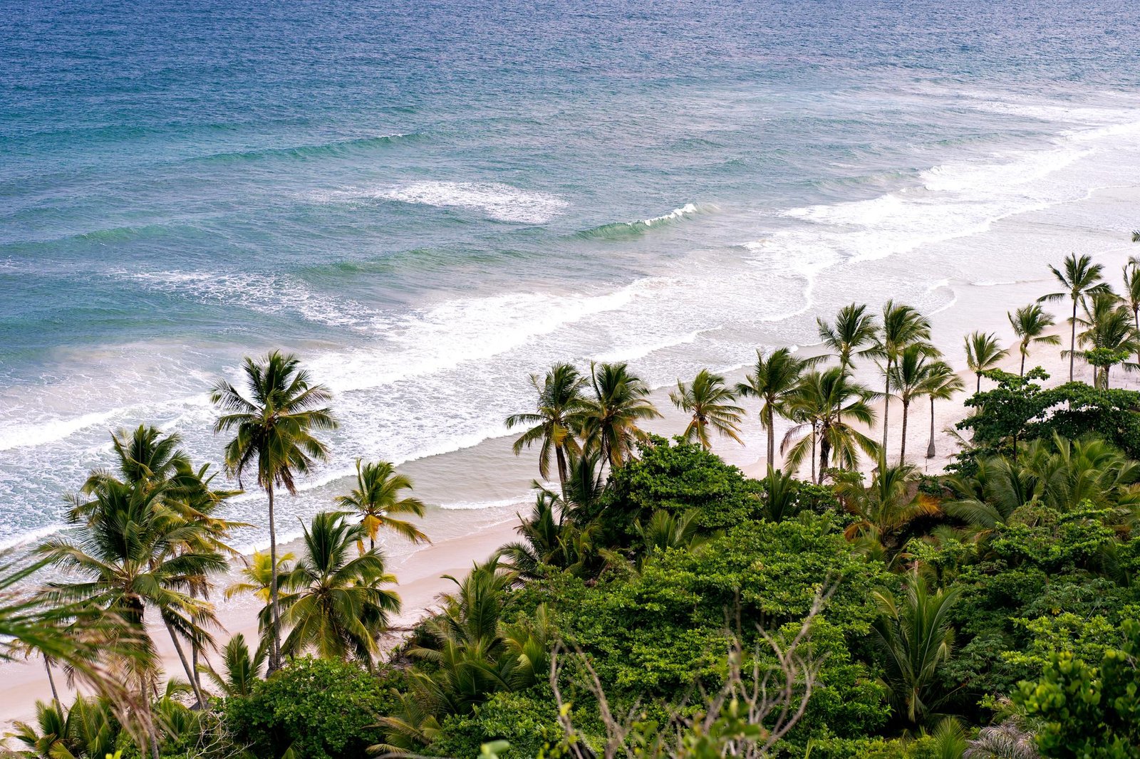 Playa espadilla Playa espadilla