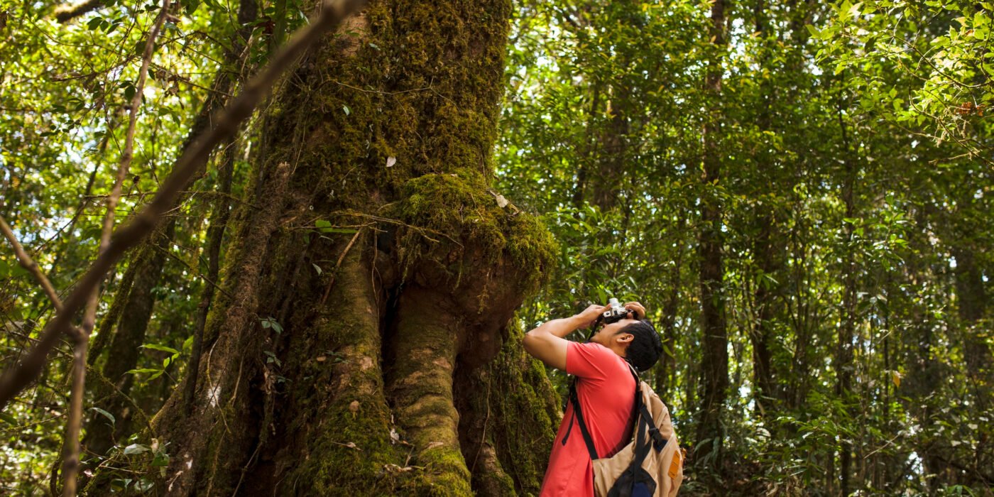 Safari Costa Rica